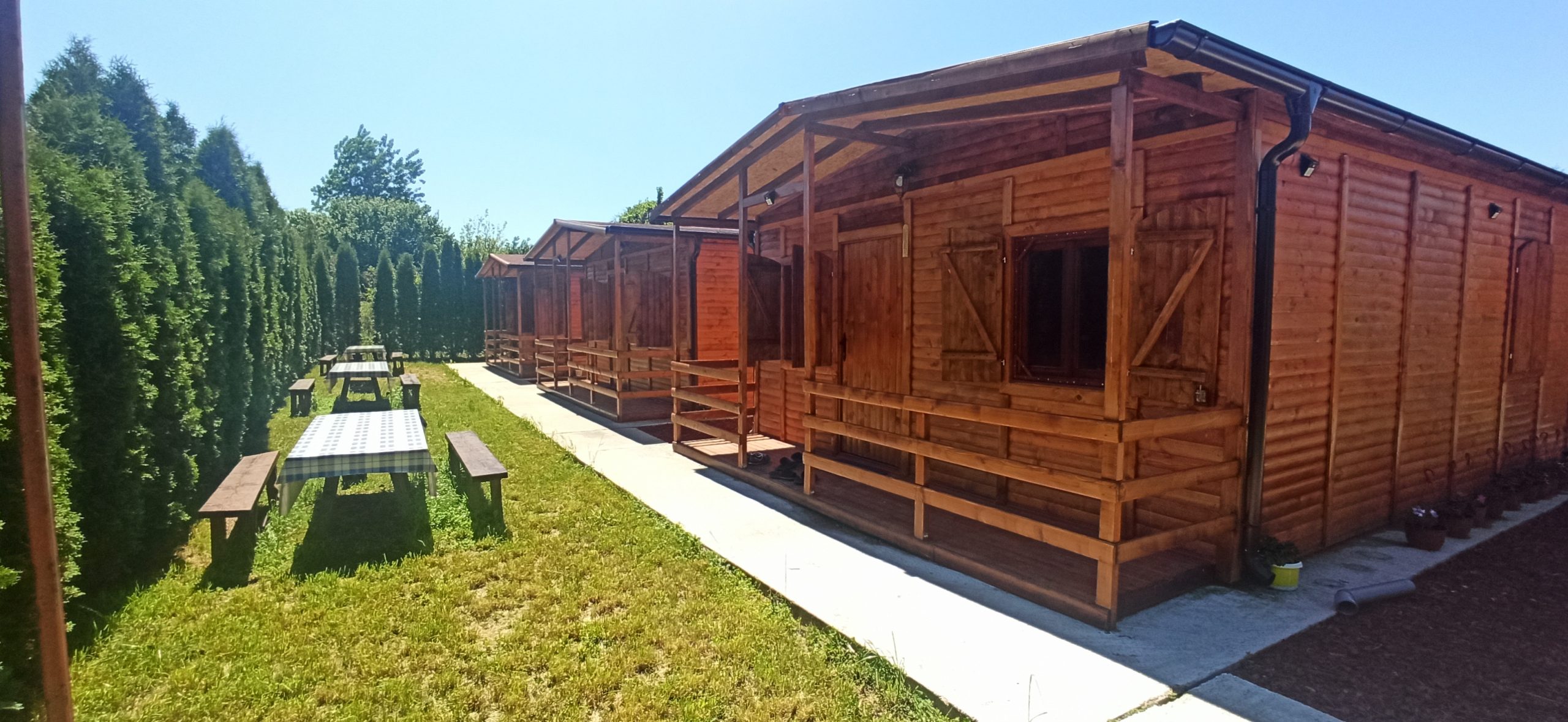 ETNO AVLIJA